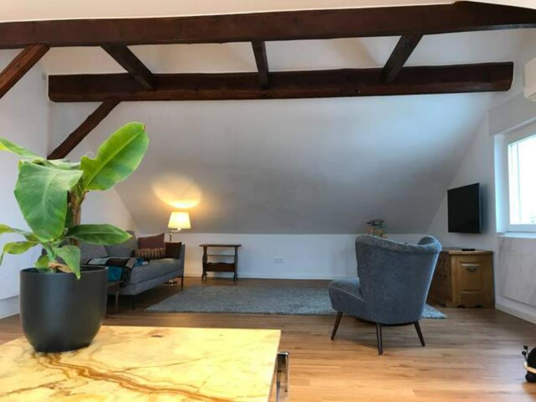 Luxury Top Floor Appartment Kassel Exterior photo